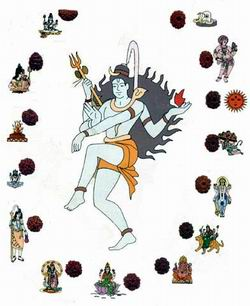 Lord Shiva Pooja Procedures and Benefits Shiva Pooja vidhanam in Telugu, Details of Rudraksha